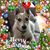 Donna Smith's profile image