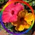Linda Schaefer Linder's profile image