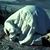 Bahadur Akandh's profile image