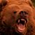 Michael Thompson's profile image