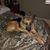 Nancy Bieri's profile image