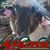 Roger Seelye's profile image