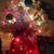 Suzanne Weber's profile image