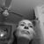 Tracy Leigh's profile image