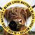 Dana Lakey's profile image