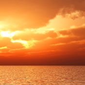 SunCharter S.'s profile image