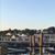 Susan Nardi McCormack's profile image