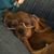 Renee Ward McLaury's profile image