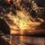 Michelle Matthews's profile image