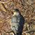 Mary Meaux Gromnicki's profile image