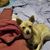 Catheine Cogliandro's profile image
