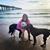 Sheila McCalpin Wimberly's profile image