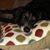 Maribeth Lashuk's profile image