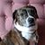 Marijane Pescaro's profile image