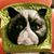 Jennifer Bensen's profile image