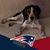 Jim Wright's profile image