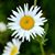 Kathy Godfrey's profile image