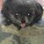 Jerry G Dawson's profile image
