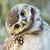 John Hubickey's profile image