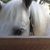 Linda Cramer's profile image