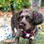 Elizabeth Behringer's profile image