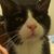 Angie Godley's profile image