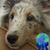 Nancy Moeller's profile image