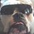 Paul Haas's profile image