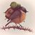Kevin Waterman's profile image