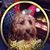 Kay Cross's profile image