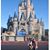 Lorena Garcia's profile image