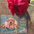 Darlene Frisch Rasczyk's profile image