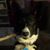 Nancy Jane's profile image