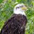 Kathy Redinius's profile image