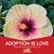 Rhianon Miller's profile image