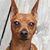 Julie Nover-Horn's profile image
