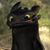 Alan Lynn's profile image
