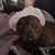 Jerry Tenbush's profile image