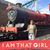 Lisa Watters's profile image
