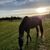 Kelly Huhn's profile image