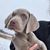 Nikki Nason Minnick's profile image