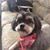 Michele Phillips's profile image