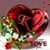 Leandra Berisha's profile image