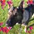 Claire Ransom's profile image