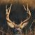 Doyle Hoover's profile image