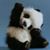 Anne Sandoval's profile image