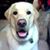 Eileen Milakovic's profile image