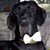 Janis Elaine's profile image