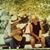 Donna Kay Robbins's profile image
