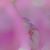 Skylar Sattler's profile image